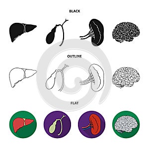 Liver, gallbladder, kidney, brain. Human organs set collection icons in black,flat,outline style vector symbol stock