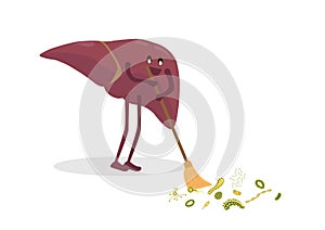 The liver gets rid of toxins and all that is not needed. Vector illustration