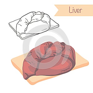 Liver