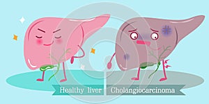 Liver with health concept