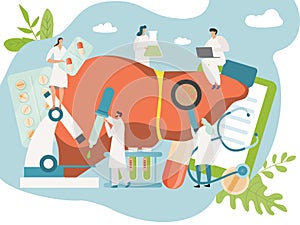 Liver healthcare treatment concept, human organ medicine, tiny people doctor and nurse, vector illustration