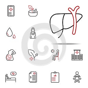 liver herpetology colored line icon. Medical icons universal set for web and mobile