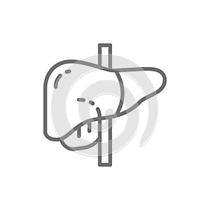 Liver, human organ line icon.