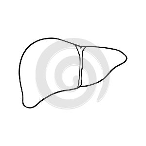 Liver icon hand drawn contour isolated on white background