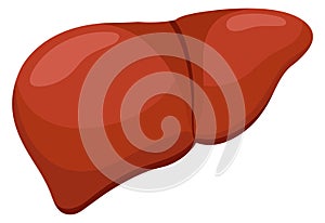 Liver icon. Human organ illustration. Biology cartoon illustration