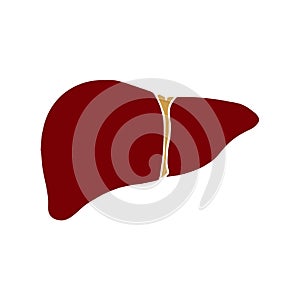 Liver icon isolated on white background