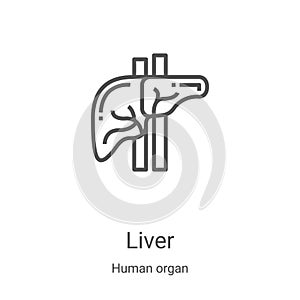 liver icon vector from human organ collection. Thin line liver outline icon vector illustration. Linear symbol for use on web and