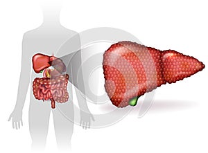 Liver illness