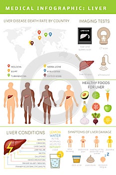 Liver infographic