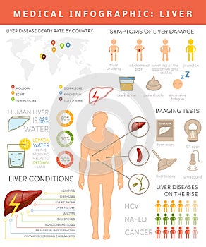 Liver infographic photo