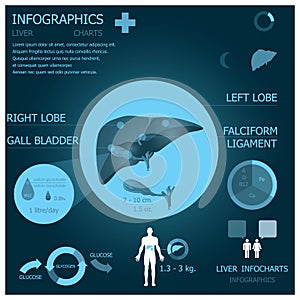 Liver Infographic Infocharts