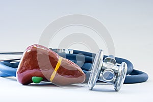 Liver near the stethoscope as a symbol of a health of organ, care, diagnostics, medical testing, treatment and prevention of disea