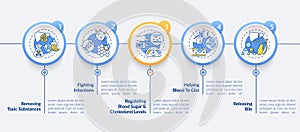 Liver roles vector infographic template