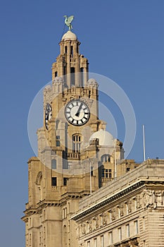 Liverpool Liver Building 01