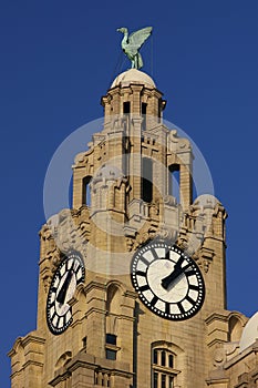 Liverpool Liver Building 02