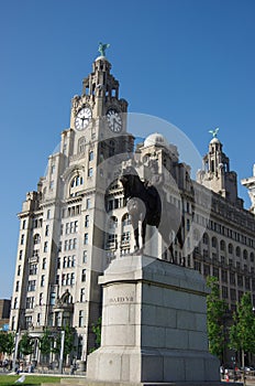 Liverpool liver building