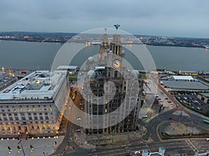 Liverpools Liverbirds