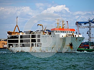 Livestock Carrier Underway to Sea photo