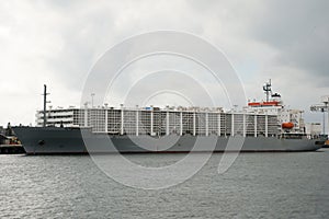 Livestock Carrier Shipping Vessel photo