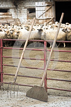 Livestock farm