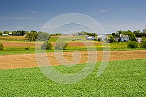 Livestock Farm in Pennsylvania