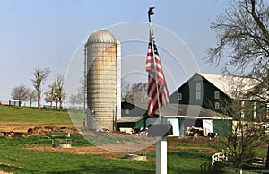 Livestock feeding silo and barn