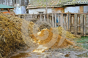 Livestock manure