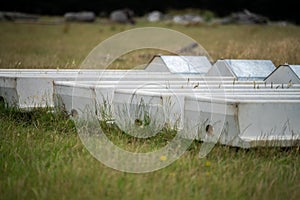 livestock water trough in a field on a cattle farm in Australia in spring