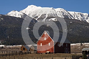 Livestock Wind Break Horse Leaning Red Barn Mountain Ranch