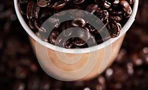 Livin la vida mocha. Closeup shot of a paper cup filled with coffee beans. photo