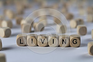 Living - cube with letters, sign with wooden cubes