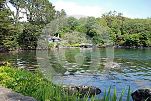 Living on the edge of the ocean