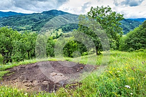 Living fire in Buzau county Romania