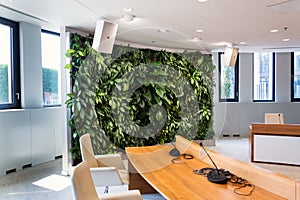 Living green wall, vertical garden indoors with flowers and plants under artificial lighting in meeting boardroom