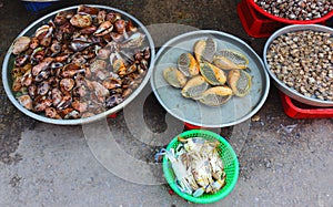 Bailer shell in fish market photo