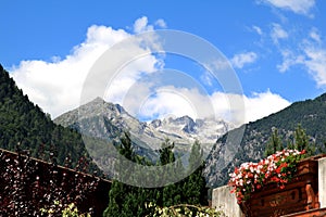 Living in the mountains of Dolomiti di Brenta photo
