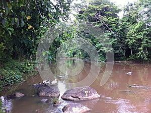 Living in the Rainforest in Peru