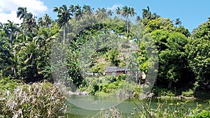 Living at the river, Baracoa, Cuba