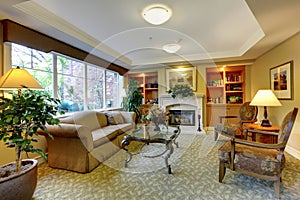 Living room with antique furniture and fireplace