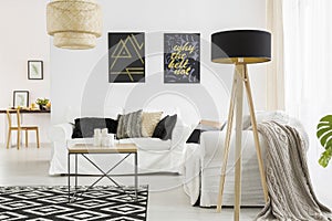 Living room with black lamp