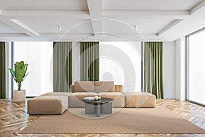 Living room with brown and green design, sofa with carpet and big windows