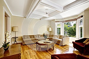 Living room with coffered ceiling system