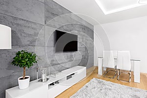 Living room with concrete wall