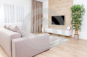 Living room with couch and led tv on wooden wall