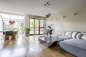 Living room with dining area