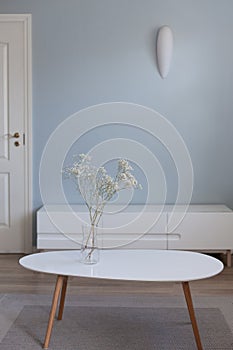 Living room furniture on floor in front of blue empty wall and white door