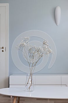 Living room furniture on floor in front of blue empty wall and white door