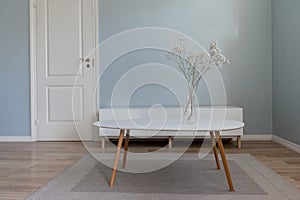 Living room furniture on floor in front of blue empty wall and white door