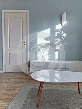 Living room furniture on floor in front of blue empty wall and white door