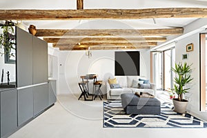 Living room with gray sideboard, exit to a terrace, sofas and old